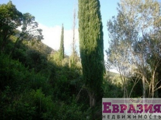 Урбанизированный участок в Ньивице, Герцег Нови - Черногория - Херцег-Нови - Герцег Нови фото 2 Урбанизированный участок в Ньивице, Герцег Нови - Черногория - Херцег-Нови - Герцег Нови, фото 2