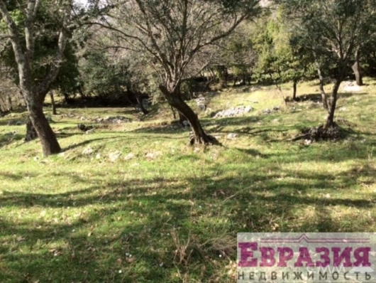 Земельный участок в Поди, Герцег Нови - Черногория - Херцег-Нови - Герцег Нови фото 4 Земельный участок в Поди, Герцег Нови - Черногория - Херцег-Нови - Герцег Нови, фото 4