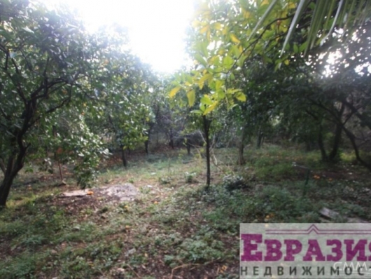 Земельный участок в Баошичи, Герцег Нови - Черногория - Херцег-Нови - Герцег Нови, фото 3