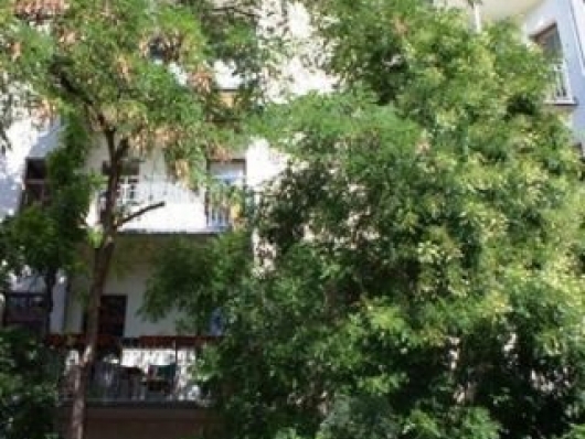 Доходная квартира в зеленом районе Лейпцига - Германия - Саксония - Лейпциг, фото 4