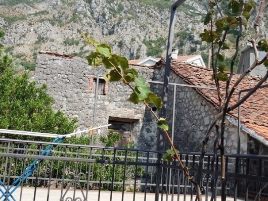 Старинный дом в Рисане - Черногория - Боко-Которский залив - Рисан, фото 8
