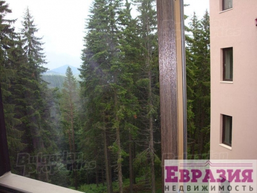 Пампорово, квартира с видом на горы - Болгария - Смолян - Пампорово, фото 10