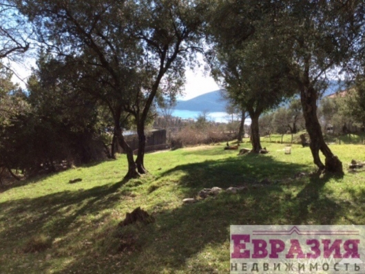 Земельный участок в Поди, Герцег Нови - Черногория - Херцег-Нови - Герцег Нови фото 1 Земельный участок в Поди, Герцег Нови - Черногория - Херцег-Нови - Герцег Нови, фото 1