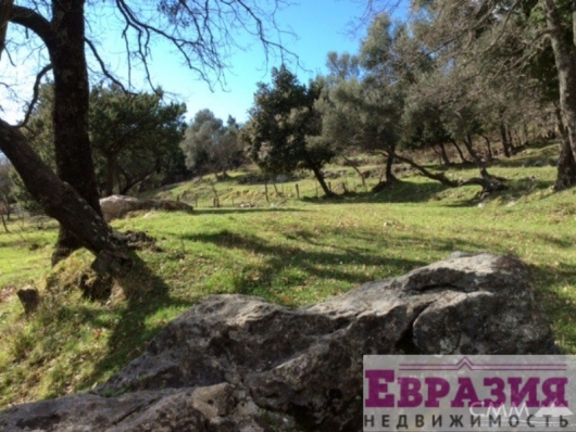 Земельный участок в Поди, Герцег Нови - Черногория - Херцег-Нови - Герцег Нови фото 3 Земельный участок в Поди, Герцег Нови - Черногория - Херцег-Нови - Герцег Нови, фото 3