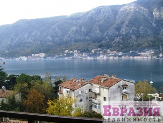 Квартира с видом на море в Доброте, Котор - Черногория - Боко-Которский залив - Котор, фото 2