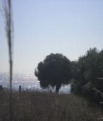 Земельный участок - Греция - Халкидики - Кассандра, фото 4