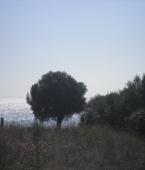 Земельный участок - Греция - Халкидики - Кассандра, фото 5