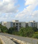 Квартира - Кипр - Южное побережье - Полис, фото 1