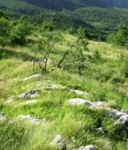 Земельный участок - Черногория - Будванская ривьера - Будва, фото 3
