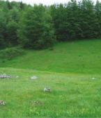 Земельный участок - Черногория - Жабляк - Жабляк, фото 2