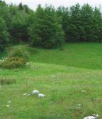 Земельный участок - Черногория - Жабляк - Жабляк, фото 3