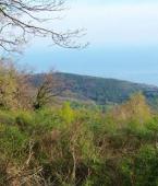 Земельный участок - Черногория - Будванская ривьера - Будва, фото 3