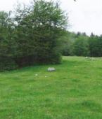 Земельный участок - Черногория - Жабляк - Жабляк, фото 5