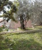 Квартира - Черногория - Улцинская ривьера - Улцинь, фото 7