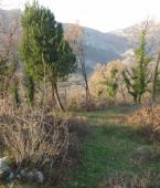 Земельный участок - Черногория - Барская ривьера - Бар, фото 7