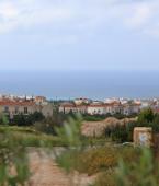 Апартаменты и виллы - Кипр - Южное побережье - Пейя, фото 4