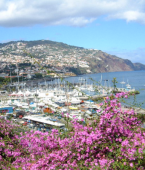 Квартира - Португалия - Мадейра - Фуншал, фото 13