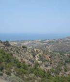 Земельный участок - Кипр - Южное побережье - Полис, фото 1