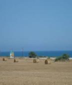 Земельный участок - Кипр - Южное побережье - Зиги, фото 2